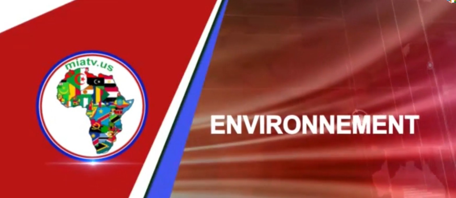 Screenshot 2026-02-21 150752